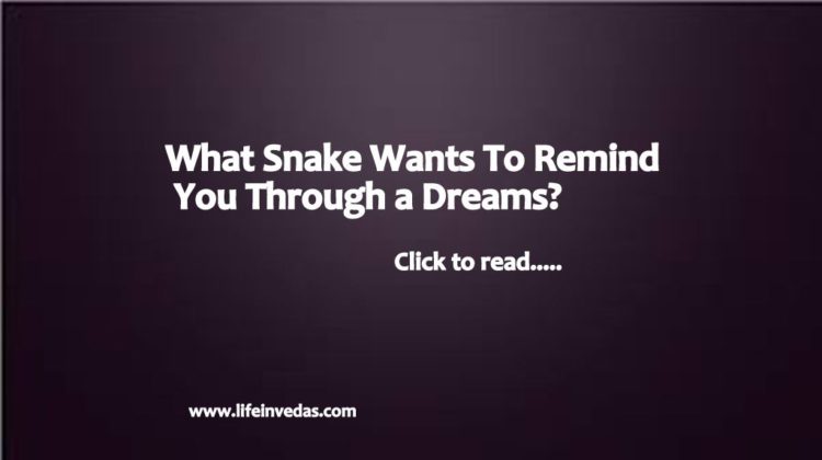 Snakes Dream Snake Dreams Gives Alerts Great Message Lifeinvedas   Snake Dream Meanings 750x420 