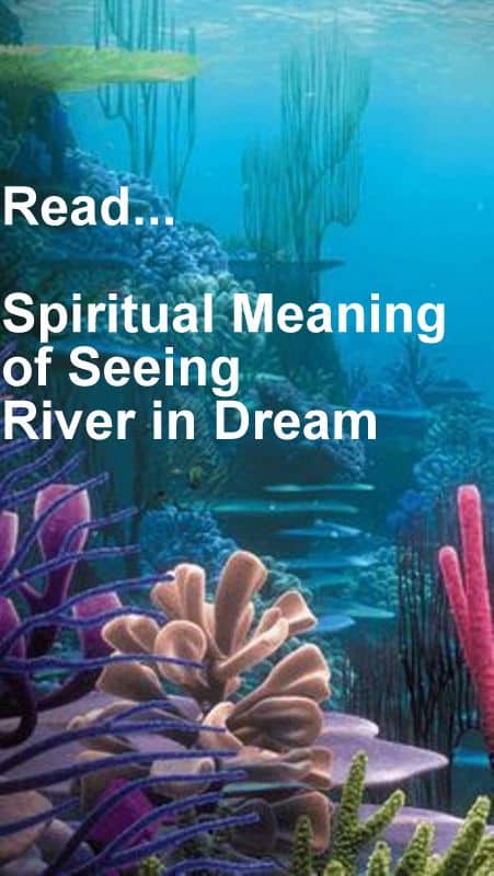 Dream About River Spiritual Meaning Of Seeing River In Dream 